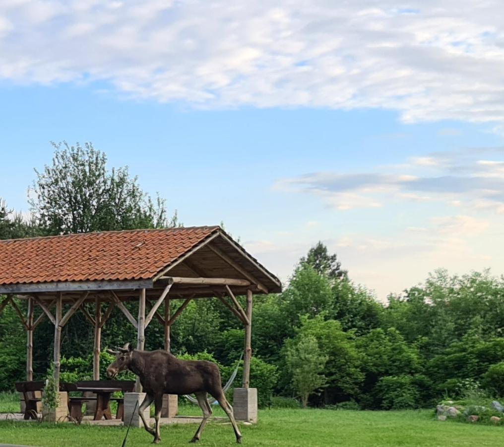 Swojski Gosciniec Prażmowo Buitenkant foto